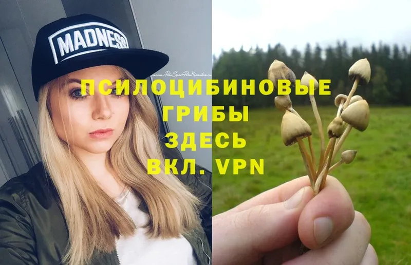 Галлюциногенные грибы Magic Shrooms  магазин    Скопин 